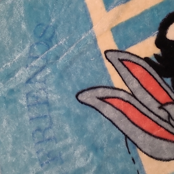 💫Host Pick💫Vintage Baby Looney Tunes Plush Blanket - Picture 4 of 6